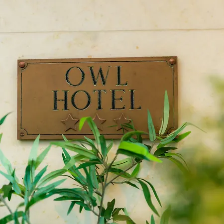 Owl 3*