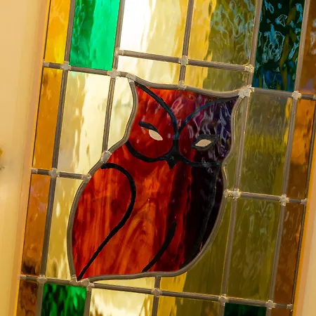 Owl