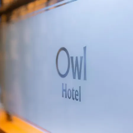 Owl 3*
