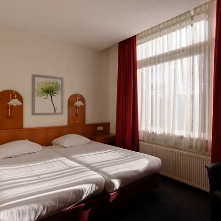 Owl Otel 3*