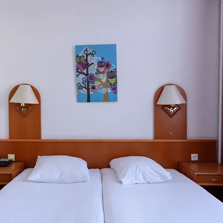 Otel Owl