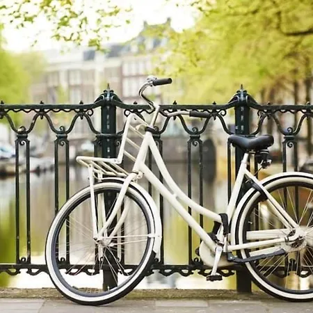 Ξενοδοχείο Owl 3*