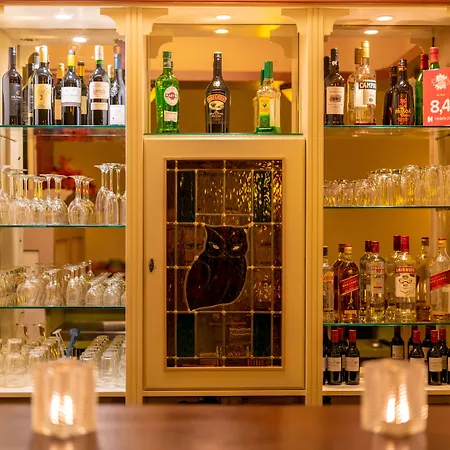 Owl Otel