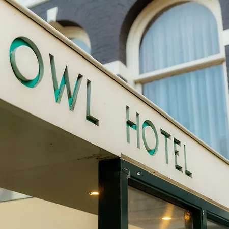 Owl 3*