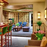 猫头鹰酒店 酒店 阿姆斯特丹