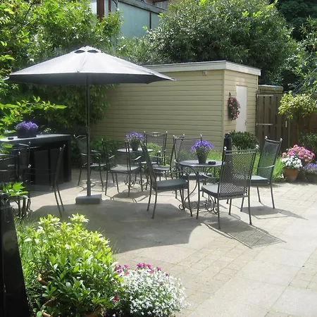 酒店 猫头鹰酒店 3*