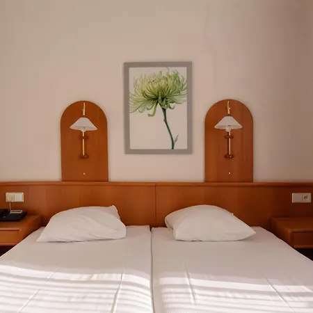 猫头鹰酒店 阿姆斯特丹